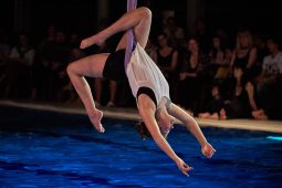Les Z'Envolées, Spectacle
