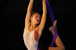 Les Z'Envolées, Spectacle
