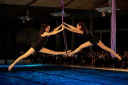 Les Z'Envolées, Spectacle