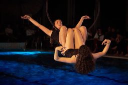 Les Z'Envolées, Spectacle