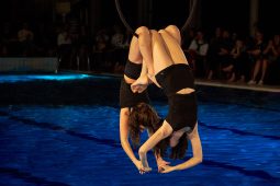Les Z'Envolées, Spectacle