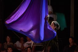 Les Z'Envolées, Spectacle