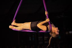 Les Z'Envolées, Spectacle