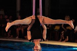 Les Z'Envolées, Spectacle