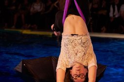 Les Z'Envolées, Spectacle