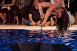 Les Z'Envolées, Spectacle
