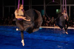 Les Z'Envolées, Spectacle