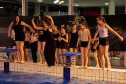 Les Z'Envolées, Spectacle