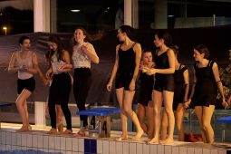 Les Z'Envolées, Spectacle