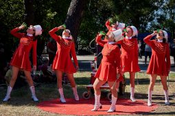 Cie Sbam, Spectacle