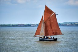 Débord de Loire, Evenement, Bateau, Grand Norven
