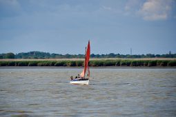 Débord de Loire, Evenement, Bateau