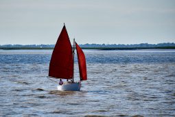 Débord de Loire, Evenement, Bateau
