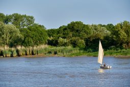 Débord de Loire, Evenement, Bateau