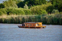 Débord de Loire, Evenement, Bateau, Libellule