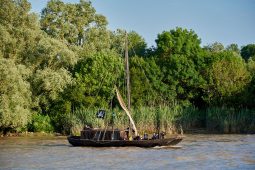 Débord de Loire, Evenement, Bateau