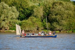 Débord de Loire, Evenement, Bateau, Le Traict