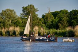 Débord de Loire, Evenement, Bateau