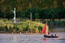 Débord de Loire, Evenement, Bateau
