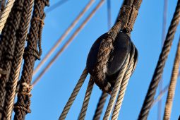 Bateau, L'Hermione