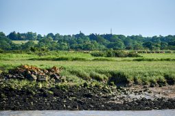 La Loire, Tourisme