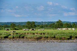 La Loire, Tourisme