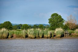 La Loire, Tourisme