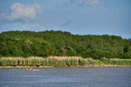 La Loire, Tourisme