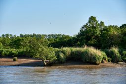 La Loire, Tourisme
