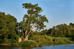 La Loire, Tourisme