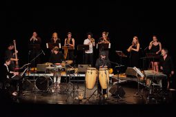 Concert, Pan Vaca