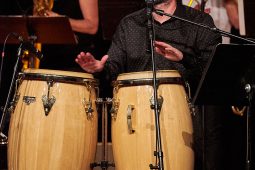 Concert, Pan Vaca