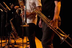 Concert, Pan Vaca