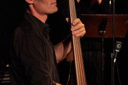 Concert, Pan Vaca