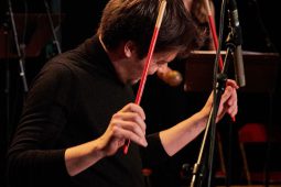 Concert, Pan Vaca