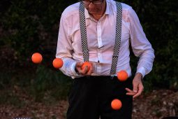 Lolo Cousin, Spectacle
