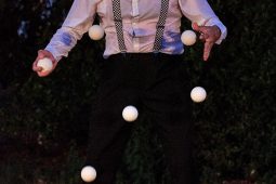 Lolo Cousin, Spectacle
