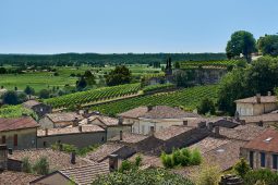 Tourisme, Saint-Emilion