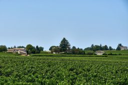 Tourisme, Saint-Emilion