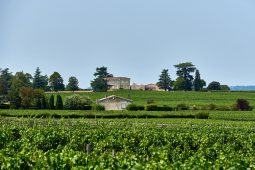 Tourisme, Saint-Emilion