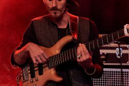 Anthony Johnson & Positive Roots Band, Concert