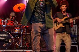 Anthony Johnson & Positive Roots Band, Concert