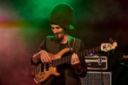 Anthony Johnson & Positive Roots Band, Concert