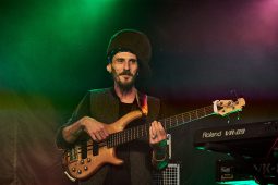 Anthony Johnson & Positive Roots Band, Concert