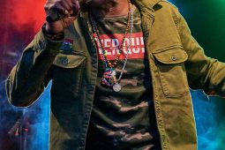 Anthony Johnson & Positive Roots Band, Concert