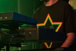 Anthony Johnson & Positive Roots Band, Concert