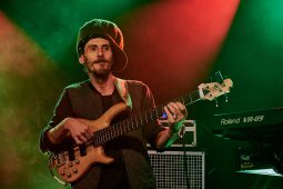 Anthony Johnson & Positive Roots Band, Concert