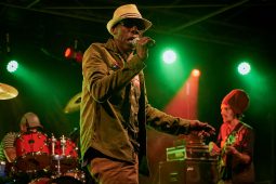 Anthony Johnson & Positive Roots Band, Concert