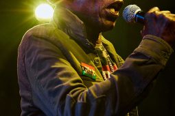 Anthony Johnson & Positive Roots Band, Concert