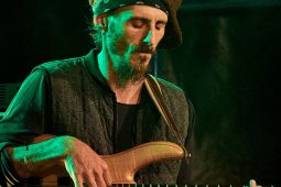 Anthony Johnson & Positive Roots Band, Concert